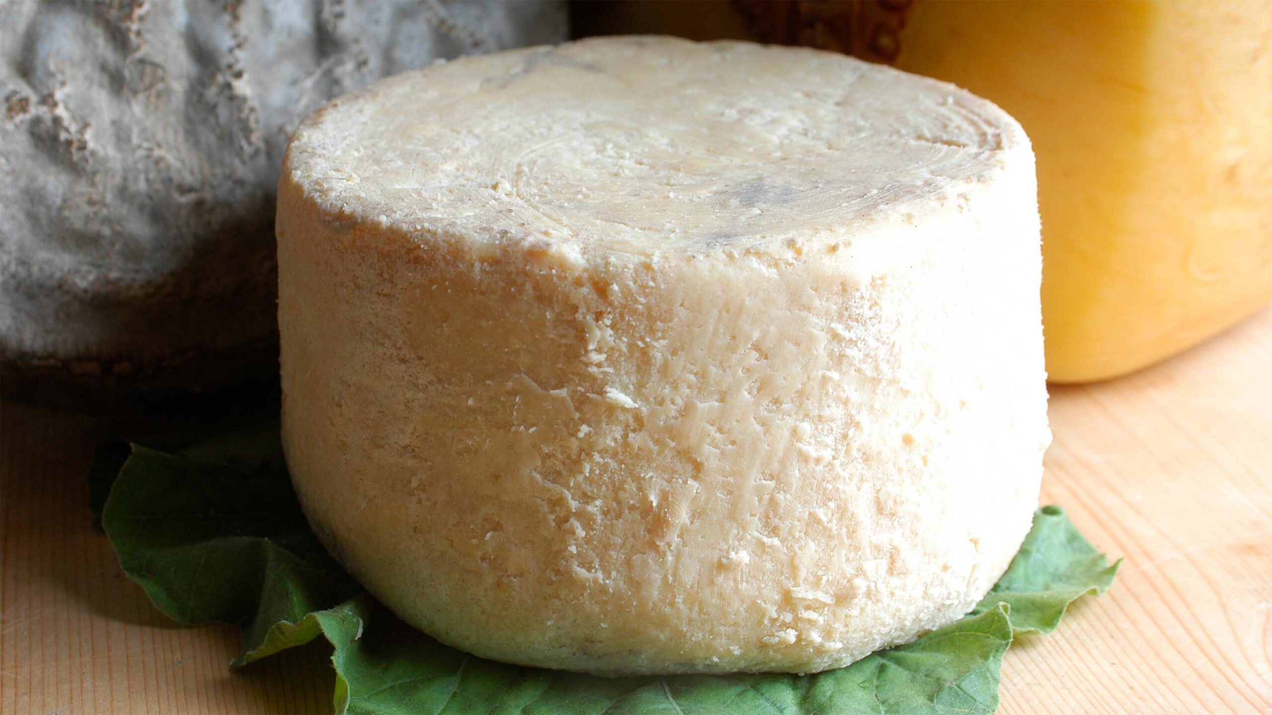 Pecorino Siciliano Ortigia Open Market